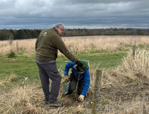 Jack-planting-an-Oak-tree-at-the-Young-People's-Forest-at-mead