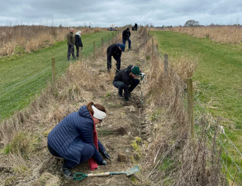 Tree-planting-at-the-Young-Peoples-forest-at-mead