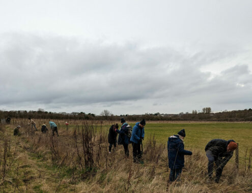 Young-People-Forest-at-mead-planrting-trees