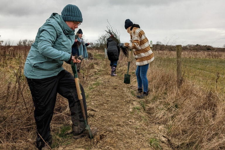 Young-people-forest-mead-digging